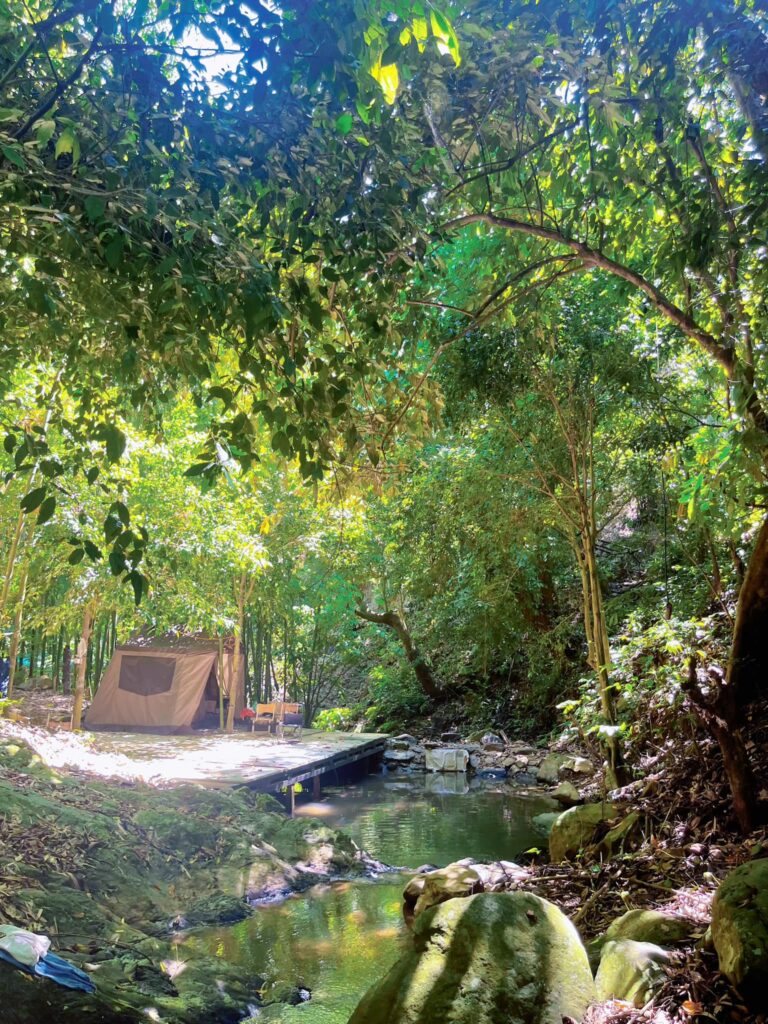 kinh nghiệm cắm trại Suối Mu Camp